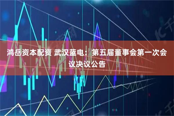 鸿岳资本配资 武汉蓝电：第五届董事会第一次会议决议公告