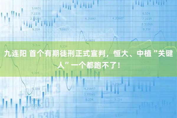 九连阳 首个有期徒刑正式宣判，恒大、中植“关键人”一个都跑不了！