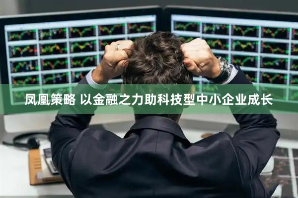 凤凰策略 以金融之力助科技型中小企业成长