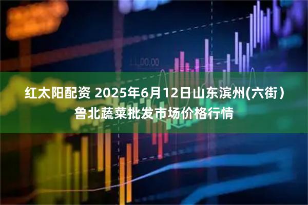 红太阳配资 2025年6月12日山东滨州(六街）鲁北蔬菜批发市场价格行情