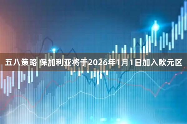 五八策略 保加利亚将于2026年1月1日加入欧元区