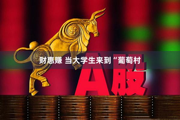 财惠赚 当大学生来到“葡萄村