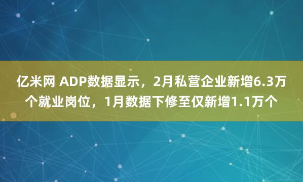亿米网 ADP数据显示，2月私营企业新增6.3万个就业岗位，1月数据下修至仅新增1.1万个