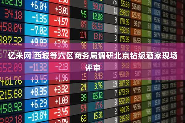 亿米网 西城等六区商务局调研北京钻级酒家现场评审